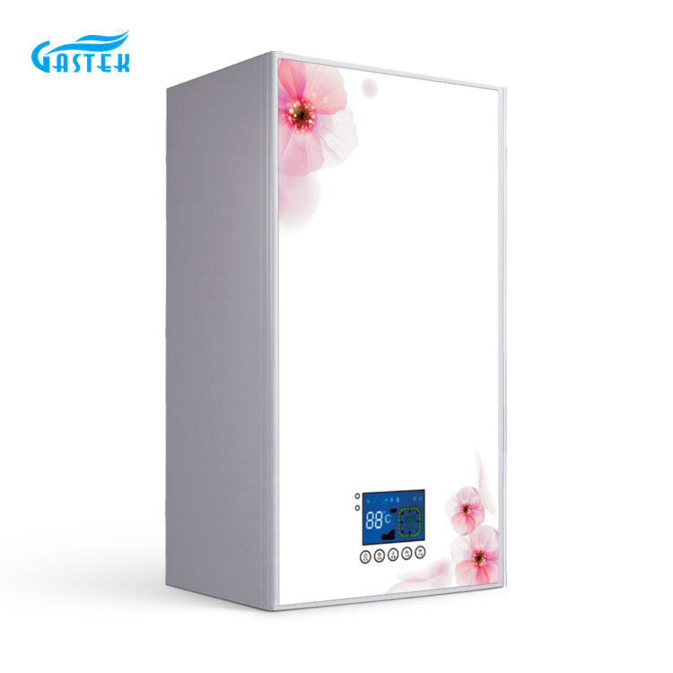 Mga tampok ng gas boiler (1)
