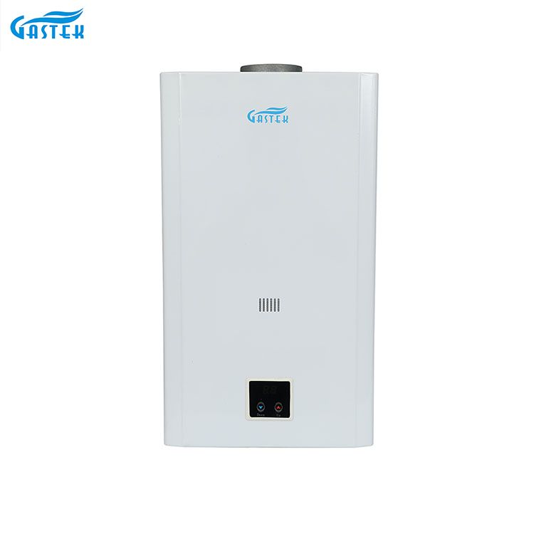 Constant Temperature 10L 12L 16L 18L Flue Type LCD Panel Wall Mounted Tankless Instant LPG Natural Hot Water Gas Geyser para sa Shower