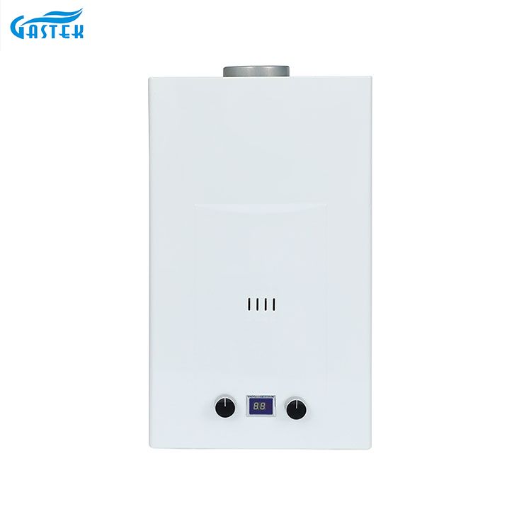 FLUE TYPE 6L 8L 10L 12L 16L 18L 20L Tankless Instant LPG Gas Geyser Para sa Shower