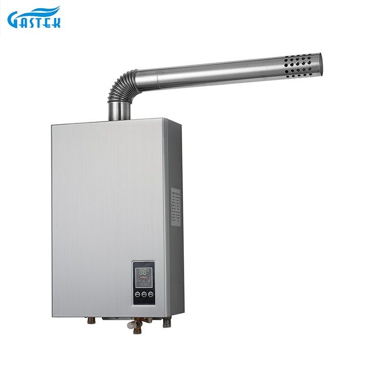 Elektrisidad 220V 110V Constant Temperature Forced Type Compact Size Gas Hot Water Heater