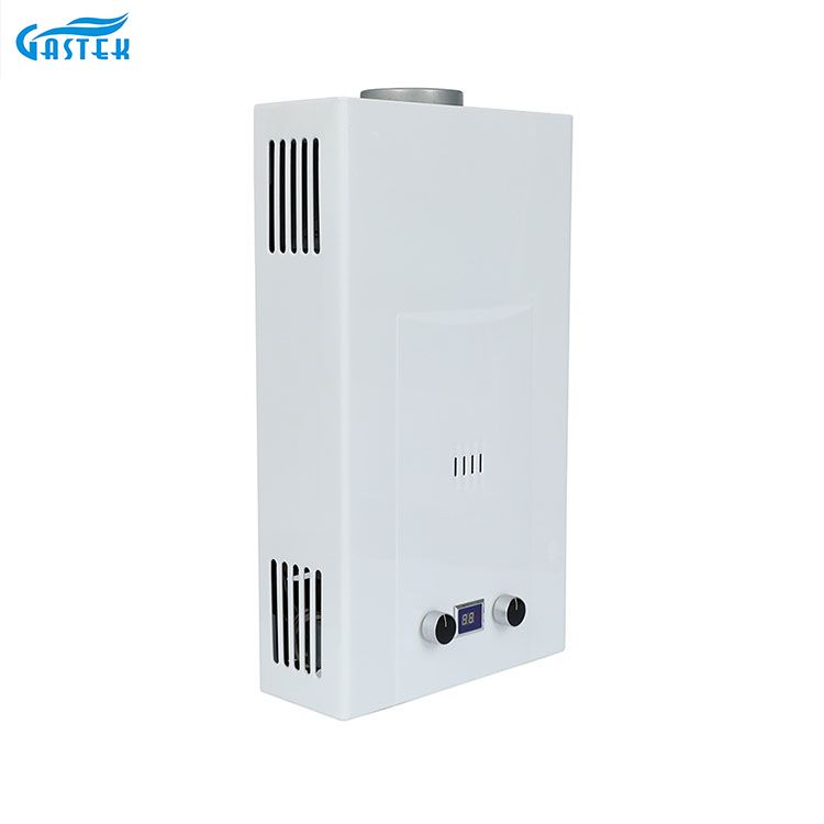 Flue Type Magandang Kalidad 6L 8L 10L 12L 16L 18L 20L Tankless Instant LPG Hot Water Shower Gas Geyser