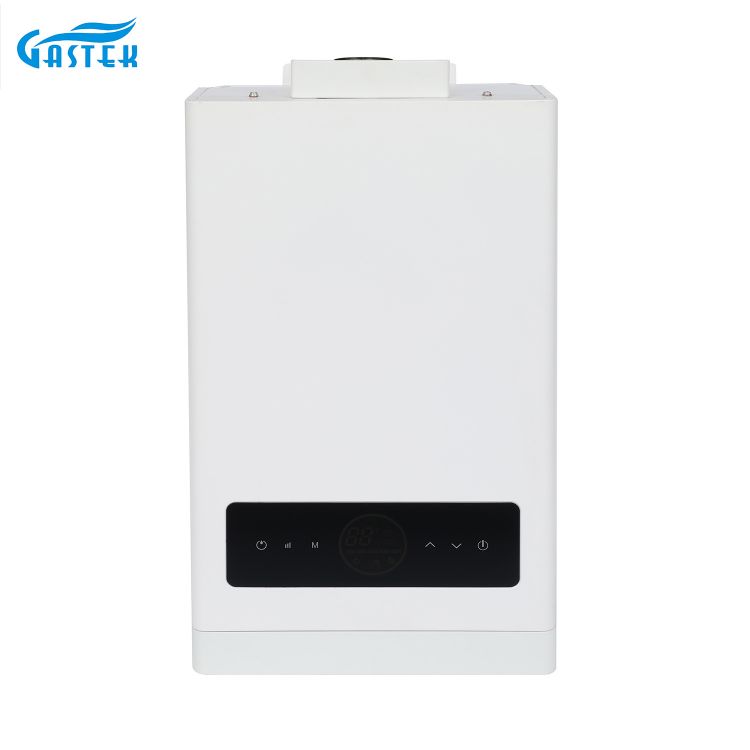 Palagiang Temperatura Touch Screen Display Sapilitang Uri ng Tankless Gas Water Heater na may Turbo