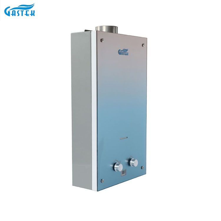 Home Appliance 6L 10L 12L Flue Type Wall Mounted Customized Glass Panel Tankless Instant Gas Geyser para sa Shower Bathing