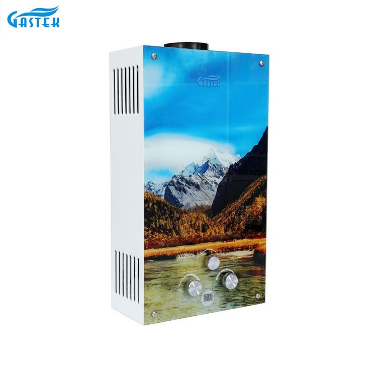 Tankless Flue Type Glass Panel Gas Water Heater Wholesale Gas Gayser para sa Kusina