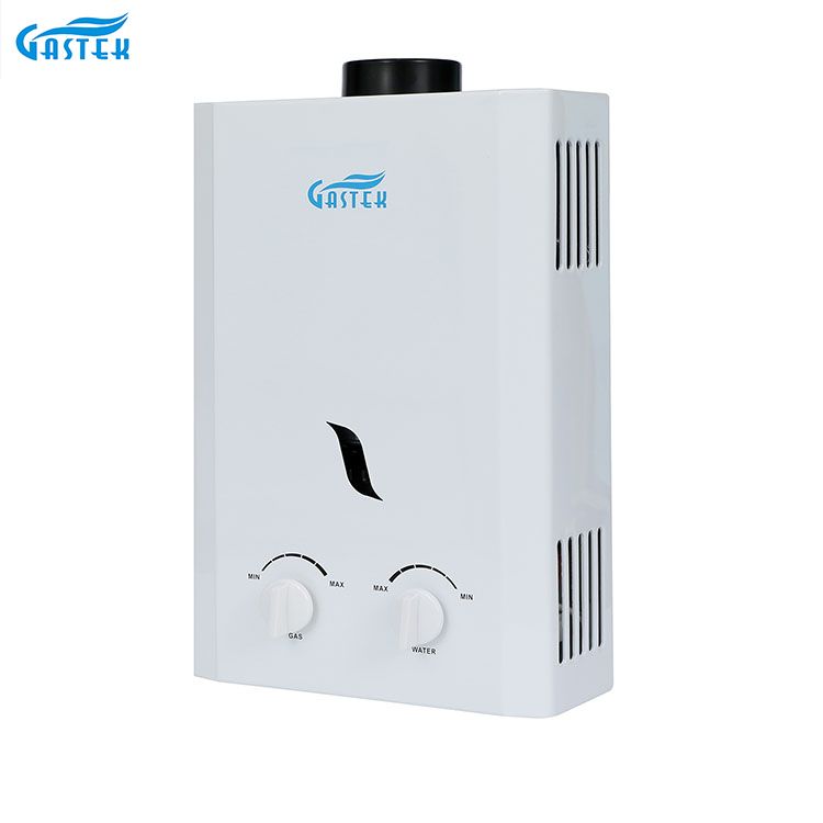 Home Appliance Uri ng Tambutso sa Wall 6L 10L 12L 16L 20L LPG Tankless Instant Gas Geyser para sa Shower