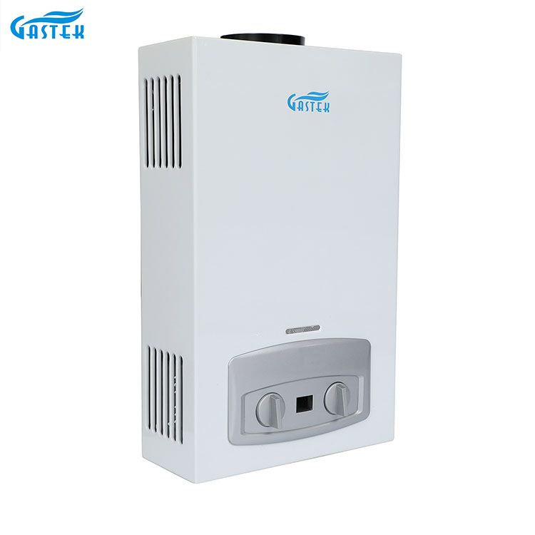 Home Appliance Uri ng Tambutso sa Wall Mounted 10L LPG Tankless Instant Gas Hot Water Heater para sa Shower