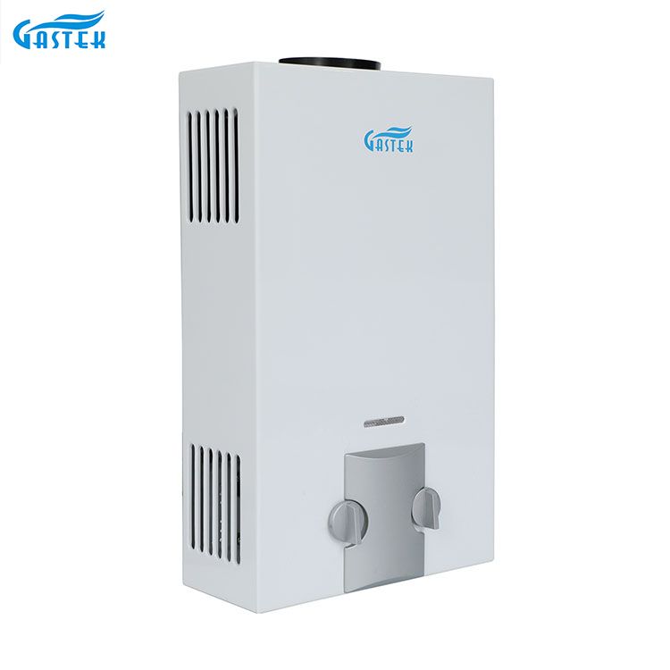 Pabrika ng Home Appliance OEM ODM Uri ng Tambutso na Naka-wall 6L 10L 12L 16L 20L LPG Tankless Instant Gas Geyser para sa Shower