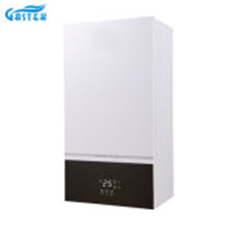 Naka-mount sa Wall Conventional Central Heating Gas Boiler