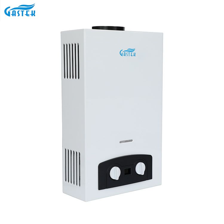 Home Appliance Wall Mounted Flue Type Shower LPG Gas Water Heater para sa Shower Bathing